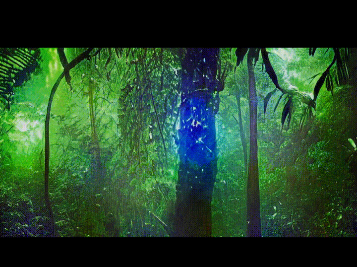 Gibbon background